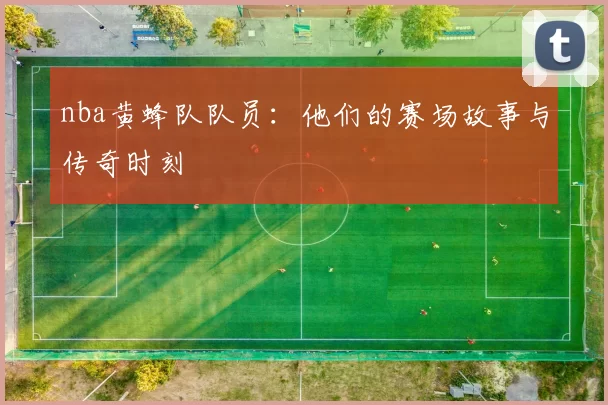 nba黄蜂队队员：他们的赛场故事与传奇时刻