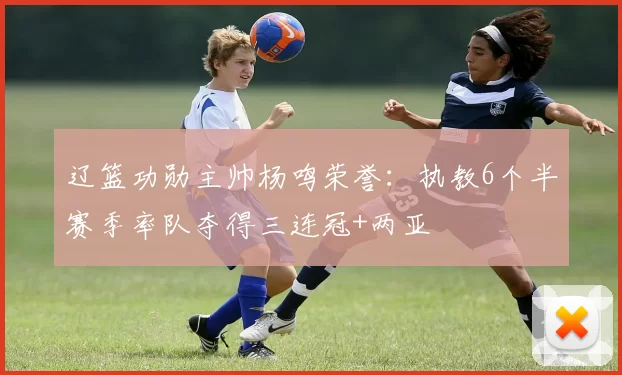 辽篮功勋主帅杨鸣荣誉：执教6个半赛季率队夺得三连冠+两亚