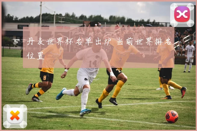 丹麦世界杯名单出炉 当前世界排名位置