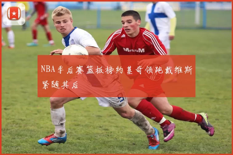 NBA季后赛篮板榜约基奇领跑戴维斯紧随其后