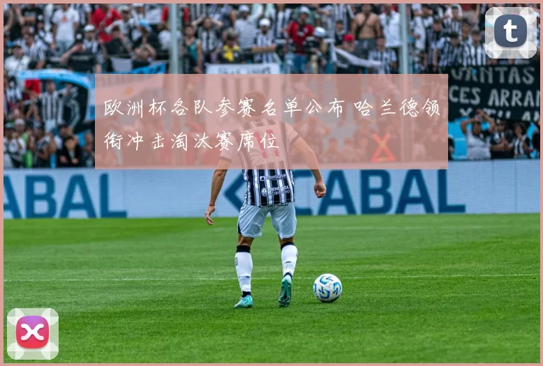 欧洲杯各队参赛名单公布 哈兰德领衔冲击淘汰赛席位