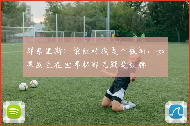 邓弗里斯：染红对我是个教训，如果发生在世界杯那无疑是红牌