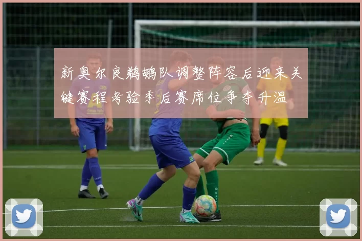 新奥尔良鹈鹕队调整阵容后迎来关键赛程考验季后赛席位争夺升温